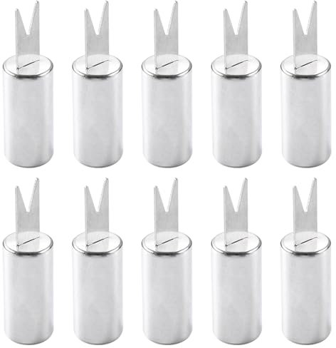 10 supporti per pannocchie per pannocchie, in acciaio inox, per barbecue, cucina, barbecue, feste, picnic, campeggio (argento)
