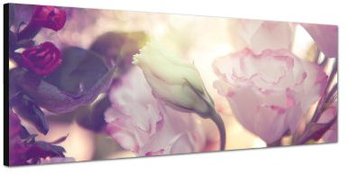 Keilrahmenbild Wandbild 150x50cm Blüten Blumen Frühling Farbfilter