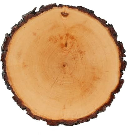 Rindenbrett lackiert rund - Rindenscheibe Baumscheibe Wurstbrett Käsebrett, Brettgröße:ca. 18-20 cm Durchmesser