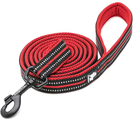 WINHYEPET Dog Leash Nylon Reflective,110cm Length(Red,M) | Truelove Comfortable Handle Lead Puppy Training Walking Rope Easy Control Suitable Small Medium Large Breeds