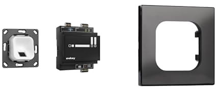 ekey xLine Fingerprintset für Unterputzmontage, ohne Rahmen, weiß + ekey xLine Rahmen-Adapter, für Jung LS 990 Schalterprogramm, schwarz