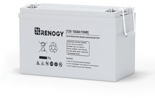 Renogy Deep Cycle AGM 12 Volt 100Ah Battery, 3% Self-Discharge Rate, 1100A Max Discharge Current, Safe Charge Appliances for RV, Camping, Cabin, Marine and Off-Grid System, Maintenance-Free