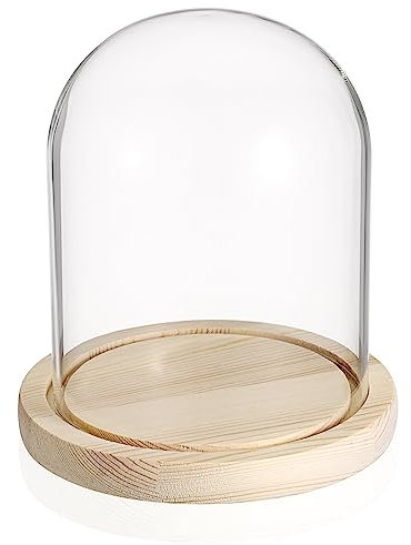 TOLIDA Dôme en verre naturel avec socle en bois vintage, robuste et durable, cloche en verre décorative, plateau de table, présentoir pour lampe, bougie, rose, décoration et antiquité pour Noël, les