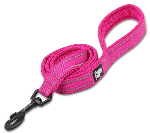 Truelove Reflective Padded Nylon Dog Training Lead, Fushcia, L(100cm) | Alloy Swivel Hook, Ergonomic Padded Grip, Tear Resistant Webbing, Reflective Night Strap, All Dog Breeds, Walking & Training