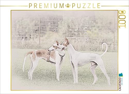 CALVENDO Puzzle EIN Motiv aus dem Kalender Podencos 2017 | 1000 Teile Lege-Größe 64 x 48 cm Foto-Puzzle für glückliche Stunden