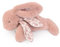 Doudou et Compagnie - Lapin Doudou Rose 29 cm avec Foulard Lin Imprimé – Peluche Bébé Ultra Douce dès la Naissance – Doudou Mixte avec Boîte Cadeau pour Offrir – Garantie Doudou Perdu - DC4140