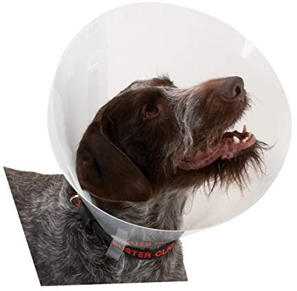 Buster Classic Transparent Dog Collar, 12.5 cm, 10-Piece