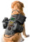 AIWAI Taktisches Hundegeschirr Molle-Weste No-Pull Sicherheitsgeschirr für mittlere und große Hunde verstellbar, Outdoor-Training Militärisches Material Geschirr mit Taschen M, Schwarz