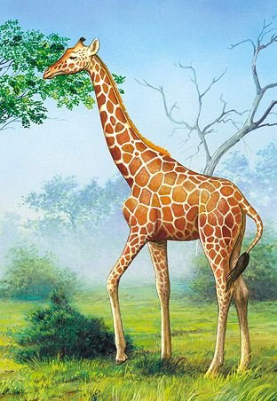 alles-meine.de GmbH Puzzle 60 Teile - KINDERPUZZLE/Giraffe Zoo - Afrika Zootier - Tier Tiere Savanne