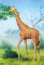 alles-meine.de GmbH Puzzle 60 Teile - KINDERPUZZLE/Giraffe Zoo - Afrika Zootier - Tier Tiere Savanne