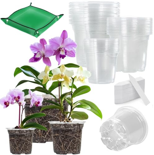 BeGrit Orchideentopf Transparent Groß Orchideen Gefäß Kunststoff Orchideen Pflanztöpfe mit Drainageloch Atmungsaktiver Orchideen Blumentopf für Phalaenopsis Dendrobium Cattleya (10cm/13cm/18cm)