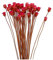 Ramo de margaritas secas naturales para decoración en jarrón, mesa floral, 50 tallos, flores secas naturales rojas, flores falsas para decoración en jarrón, ramo de margaritas secas