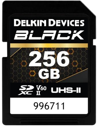 Delkin Devices Black Rugged SDXC Memory Card, UHS-II, C10, U3, V60, Full HD & 8K Video, Fast Speeds Up to 290MB/s Read, 190MB/s Write, Ideal for Photographers and Videographers (256GB)