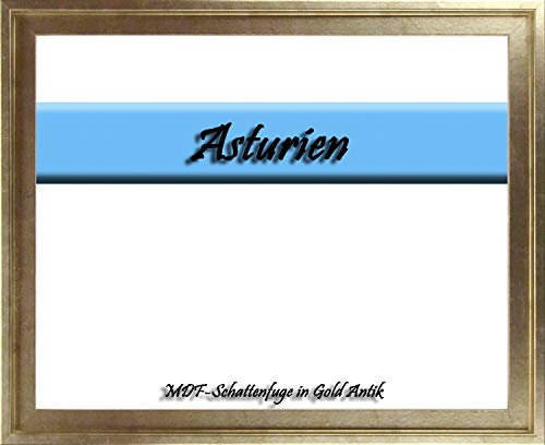 MDF-Leerrahmen ASTURIEN speziell für Leinwandbilder BZW. Keilrahmenbilder im Format 50 x 60 cm. Schattenfugenrahmen in der Farbe: Gold Antik. 10 Farben zur Auswahl