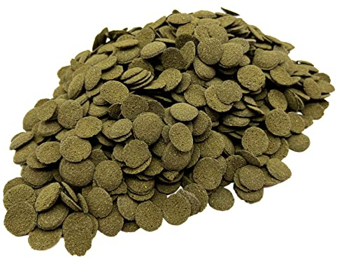 HERONS - Spirulina Algae Wafers - 15 mm Sinking Wafer - For all Bottom-Feeding Fish and Crustaceans - Rich in Fiber - Immune Support - Enhance Colour and Improves Digestion - 1KG
