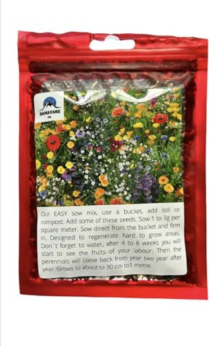 (1 kg) Mélange de graines de prairie sauvages Royaume-Uni, meilleures graines de jardin pour abeilles et papillons Conteneur habitat Graines de fleurs sauvages Purement sauvages