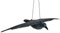 Hillfield Schwarzer Rabe fliegend 80cm Spannweite Kunststoff Taubenschreck Taubenabwehr Vogelschreck (1)