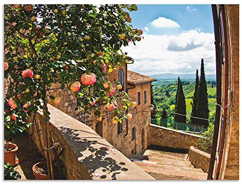 ARTland Wanddeko Wandbild Alu Verbundplatte für Innen & Outdoor Bild 60x45 cm Fensterblick Toskana Landschaft Garten Rosen Balkon Natur T4QS