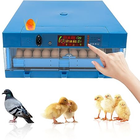 Brutmaschine, Brutautomat Vollautomatisch, 64 Eier Brutapparat, Hühnerbrutkasten mit 3 Funktion, Ei-Inkubator für Hühnern, Gänsen, Wachteln, Papageien, Pfauen