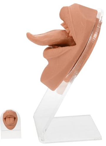 PAMINGONO 1 Jeu Clou De Langue Modèle Kit De Faux Piercing Peau Sourcil Bouton Humain Clous De Nez Rouleau Pour Le Visage Nombril Fausses Parties Du Corps Percées Coffee Gel De Silice