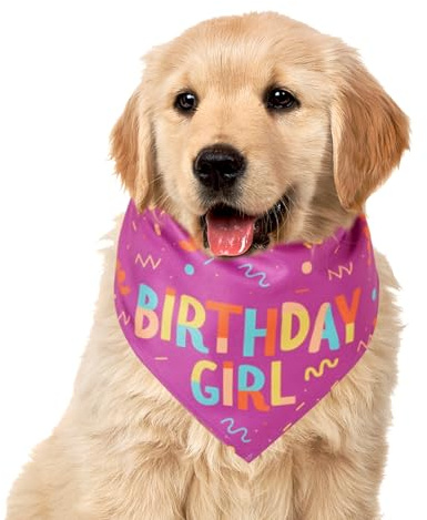 Dog Bandana, Doggy Birthday Boy Bandana with Bone Toy, Adorable Soft Scarf, Adjustable Fit, Cute Design for Medium Puppies, Everyday Wear, Comfortable Pet Accessory