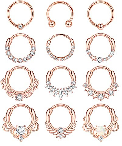 Kakonia 12pcs Septum Bijoux 16g Daith Boucles d'oreilles Cerceau à charnière Anneaux de nez Septum Clicker Cz Acier inoxydable Cartilage Boucle d'oreille Helix Tragus Daith Piercing Bijoux