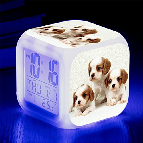 Wecker Hund, Wecker Digital mit LED, Wecker Kinder Junge Mädchen Geschenk, Nachtlicht, Snooze, Batteriebetriebene Weckuhr (K)