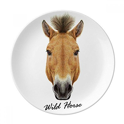 Brown solide Cheval sauvage Animal décoratifs en porcelaine Assiette à dessert 20,3 cm dîner Maison Cadeau