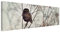 Leinwandbild - Eule im Winter Panorama Bild auf Leinwand 40x120 cm
