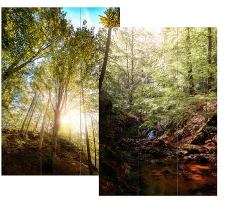 Paravent Wald Raumteiler Sichtschutz Trennwand HTI living