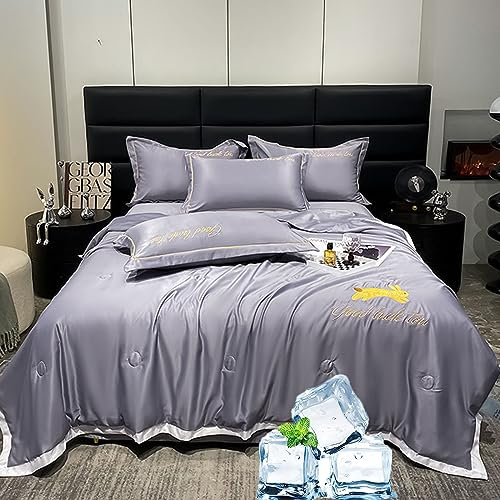 lsxlkha Sommer Einfache EIS Seide Quilt,Leichte Sommer Bettdecke,Waschbare und leichte Sommerdecke, kühlende Decke für heiße Schläfer 200x230cm/79x90in