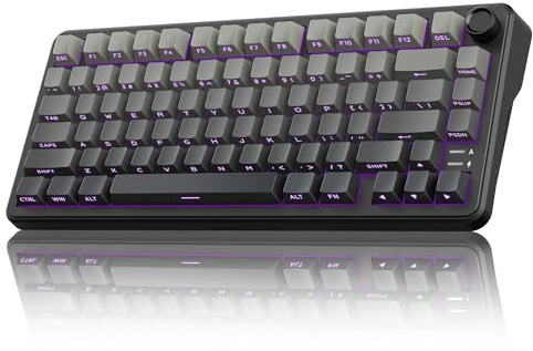 RedThunder K75 Mechanische Gaming Tastatur, QWERTY, RGB, Fünfschichtige Polsterung Struktur, BT/USB-C/2,4GHz, Hot-swap, Seitlich Graviert, 75% Kabellose Gaming Tastatur für Windows, Mac, Xbox, PS.