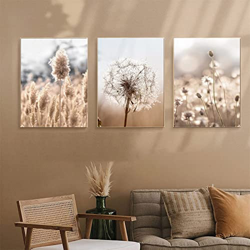 SWECOMZE 3er Set Design Poster Wandbilder,Leinwandbilder Getrocknete Blumen Schilfblume Bilder Wanddeko Ohne Rahmen für Wohnzimmer Bilder Set (B,40x50cm)