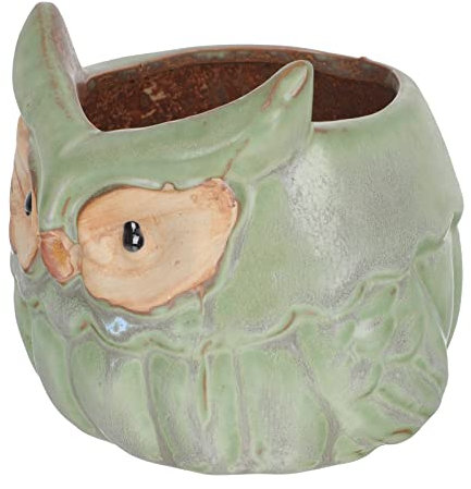 UNNS Pflanztöpfe Keramische Blumentopf Eule Muster Blume Pflanzende Behälter Gartenarbeit Blume Pot Topf Ornamente Indoor-Blumentopf (Color : Green, Sheet Size : 11.5x10cm)