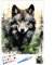 QIUQI Malen Nach Zahlen Erwachsene Wolf, DIY Handgemalt Ölgemälde Leinwand Kits, Anfänger Paint by Numbers Malen Nach Zahlen zur Heimdekoration, Kein Rahmen (40x50 cm)