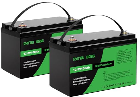 DATOUBOSS 12V 100Ah LiFePO4 Lithium Battery, 1280Wh Energy, Up to 15000+ Deep Cycle, with 120A BMS Protection, Support in Series/Parallel, for RV, Caravans, Boat, Off-Grid Solar Panel System, 2Pcs