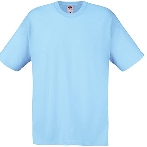 Fruit of the Loom Mens Screen Stars Original Full Cut Short Sleeve T-Shirt (L) (Sky Blue)