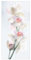 Bilderwelten Schiebegardinen - Zerbrechliche Orchidee Wandhalterung, 2X á 250 x 60cm