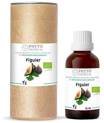Gemmothérapie FIGUIER- Ficus carica (BIO)