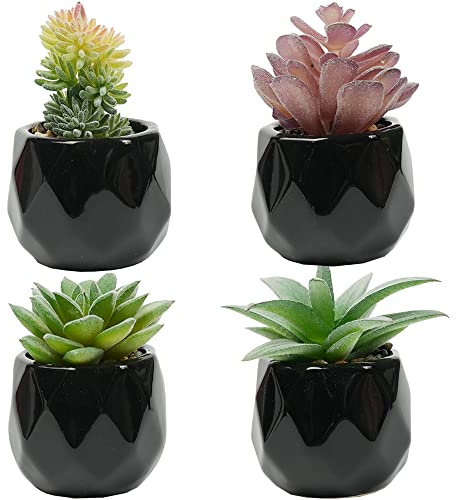 Canirologas Artificial Plants Indoors, Black Ceramic Potted Ornaments, Small Green Succulents Decor for Bedroom Aesthetic, Faux Desk Plant for Bathroom,Office Decoration (frosty 4pcs)