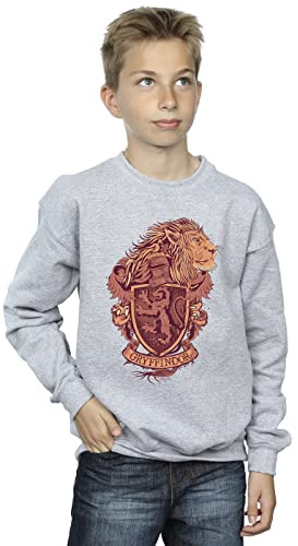 Harry Potter Boys Gryffindor Sketch Crest Sweatshirt
