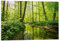 Posterlounge Frischer grüner Wald Acrylglasbild von Oliver Henze 120 x 80 cm Grün Wandbilder Wanddeko