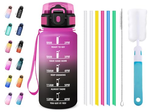 JAPORIA Gourde Motivation 500ml, Gourde avec Paille, Anti Fuite, Bouteille Reutilisable, Facile à Nettoyer, Bouteille d'eau pour l'École, Bureau