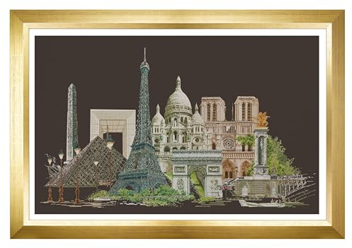 Thea Gouverneur - Counted Cross Stitch Kit - Paris - Aida Black - 18 count - Embroidery Kit for Adults - DMC Embroidery Threads and other Cross Stitch Supplies Included - 472.05
