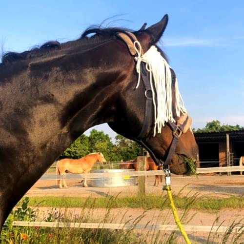 Fliegenfransen für Pferde – hochwirksamer Insektenschutz gegen Fliegen, Bremsen, Mücken – Fliegenhaube zum binden Einheitsgröße (Weiss, One Size (Warmblut + Vollblut + Kaltblut))