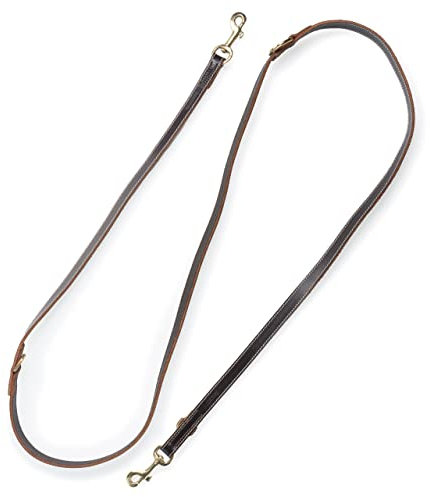 Hundeleine aus Leder - mehrfach verstellbare Führleine 2,40m - Hunde Lederleine extrem Stabil mit Messing-Karabiner - Echt-Leder Leine lang Timmy (Dunkelbraun)