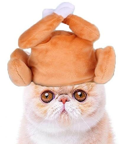 Katzen Truthahn Drumstick Hut Kleine Hund Katze Halloween Thanksgiving Truthahn Drumstick Kopfbedeckung Kostümzubehör Für Kleine Hundekätzchen Haustier