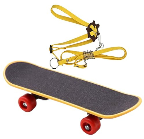 Turtle Rope and Skateboard Set- Reptiler Fraints, bärbara grillskateboards | Lätt hållbar träningsutrustning med koppel för skäggiga drakar promenader och små leguaner