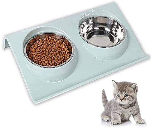 JIASHA Bol pour Animaux de Compagnie Set,Chien Animaux Feeder Bol, Gamelle Double Nourriture Inclinable à 15° Double Gamelle Chat Surélevée pour Petit Chien et Chat Bol de Nourriture (Vert)