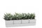 VIRSUS Fioriera con 4 vasi e unico sottovaso 311, misura 48x12x11 cm, Fioriera di forma rettangolare per interno e per esterno, vasi per piccole piante grasse, resistente ai raggi UV (Snow)